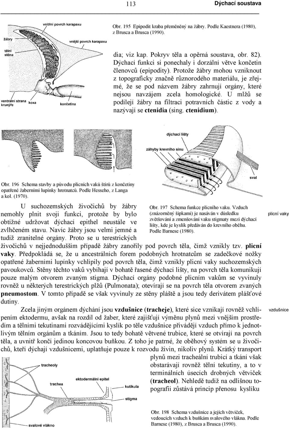 Protože žábry mohou vzniknout z topograficky značně různorodého materiálu, je zřejmé, že se pod názvem žábry zahrnují orgány, které nejsou navzájem zcela homologické.