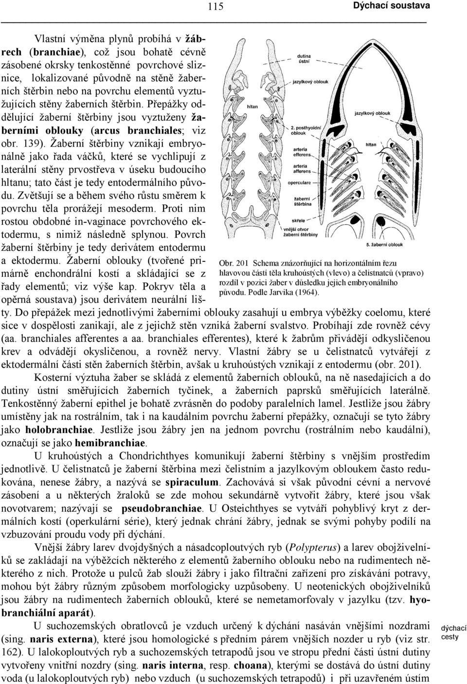 Vlastní výměna plynů probíhá v žábrech (branchiae), což jsou bohatě cévně zásobené okrsky tenkostěnné povrchové sliznice, lokalizované původně na stěně žaberních štěrbin nebo na povrchu elementů