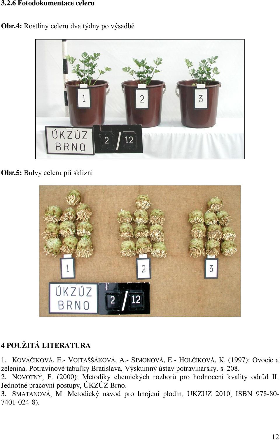 (1997): Ovocie a zelenina. Potravinové tabuľky Bratislava, Výskumný ústav potravinársky. s. 208. 2. NOVOTNÝ, F.