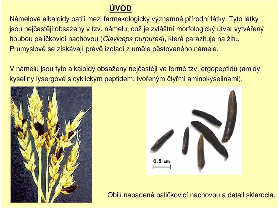 Průmyslově se získávají právě izolací z uměle pěstovaného námele. V námelu jsou tyto alkaloidy obsaženy nejčastěji ve formě tzv.