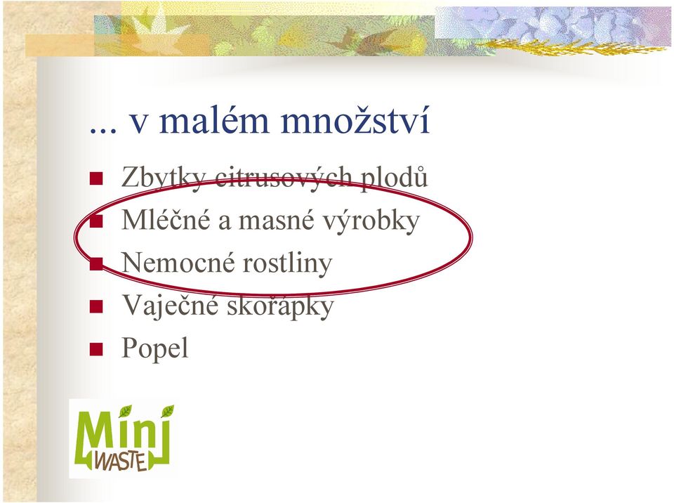 Mléčné a masné výrobky