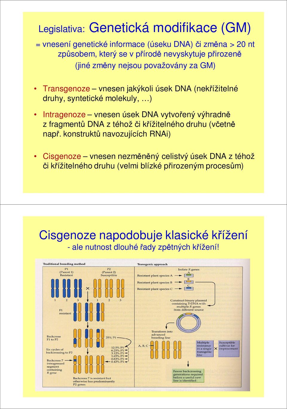 vytvořený výhradně z fragmentů DNA z téhož či křížitelného druhu (včetně např.