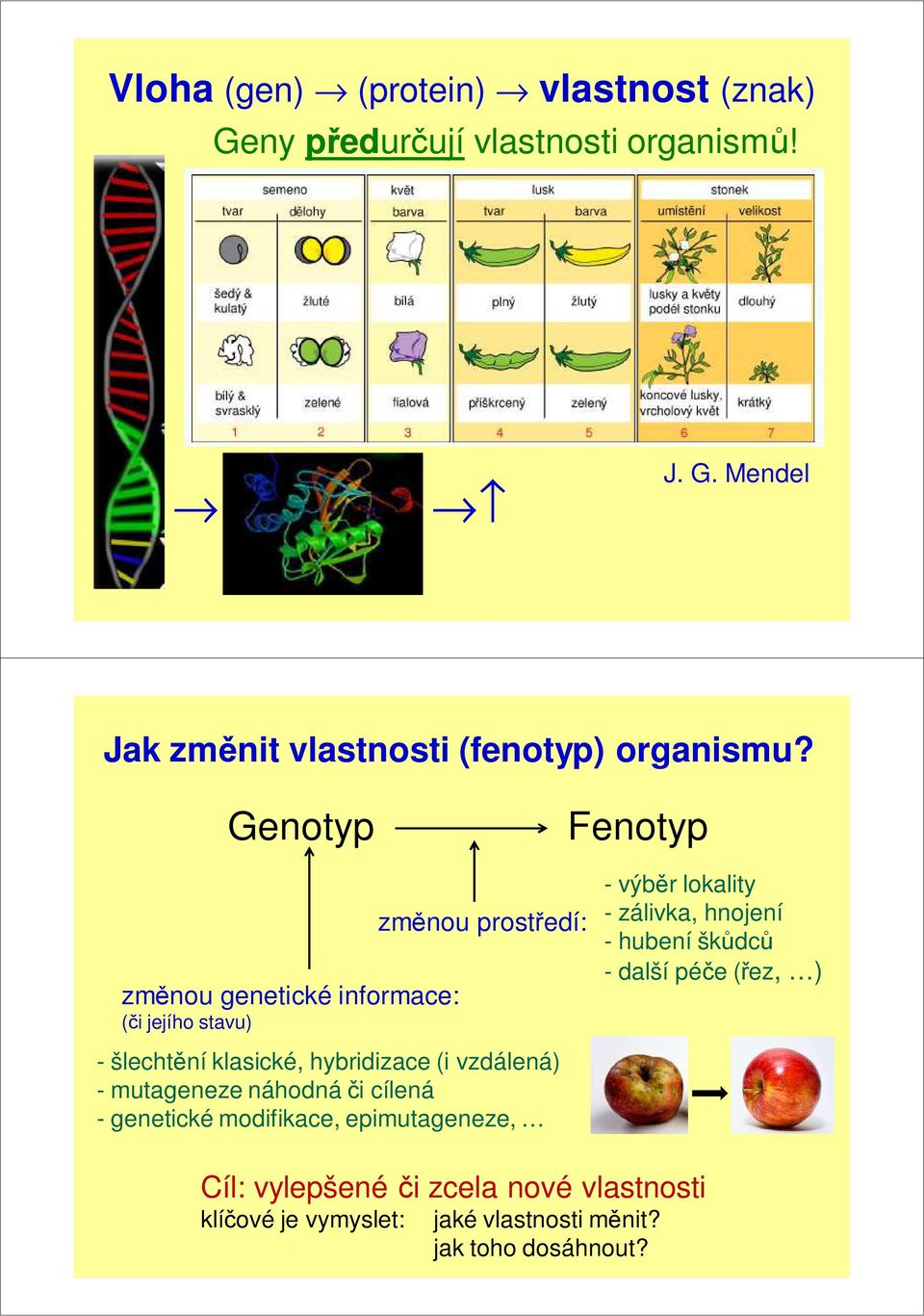 - mutageneze náhodná či cílená - genetické modifikace, epimutageneze, - výběr lokality - zálivka, hnojení - hubení škůdců -