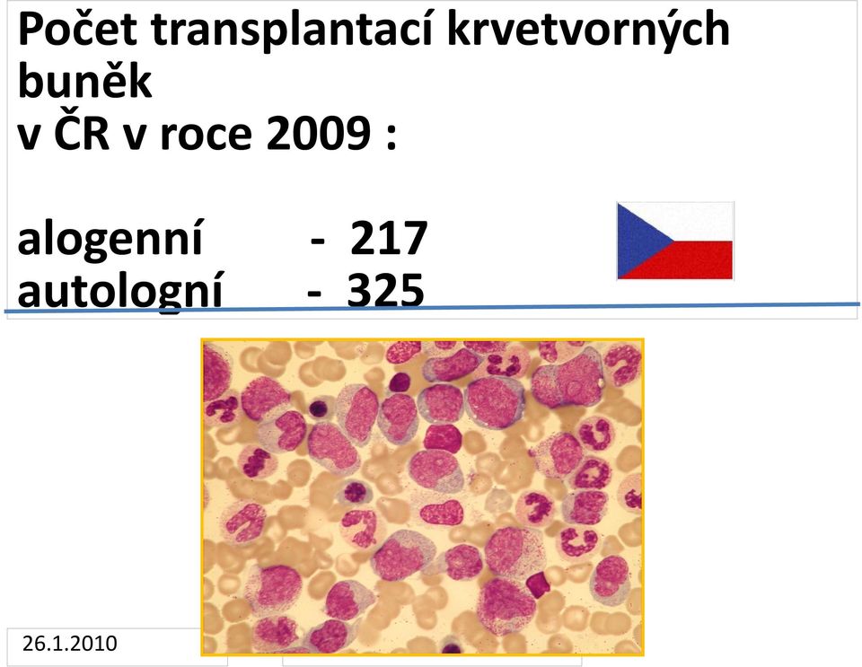 ČR v roce 2009 :