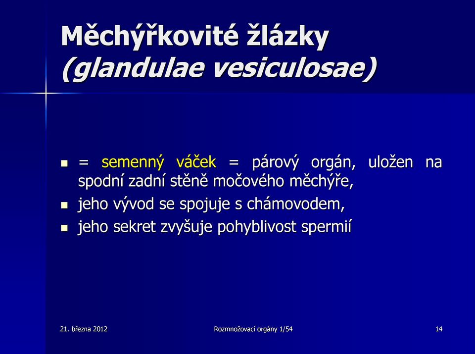 měchýře, jeho vývod se spojuje s chámovodem, jeho sekret