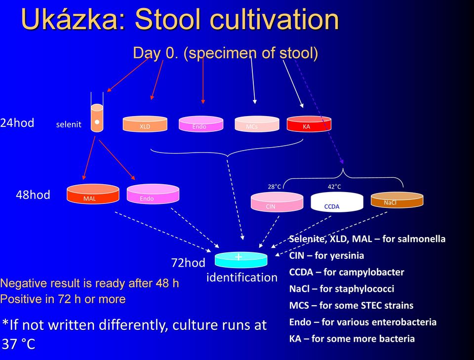 ready after 48 h Positive in 72 h or more + 72hod identification *If not written differently, culture runs