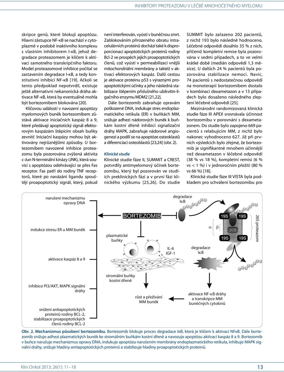 Model proteazomové inhibice počítal se zastavením degradace I-κB, a tedy konstitutivní inhibicí F-κB [19].