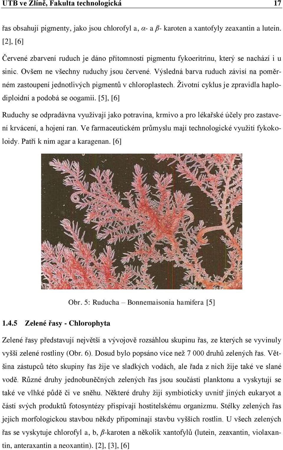 Výsledná barva ruduch závisí na poměrném zastoupení jednotlivých pigmentů v chloroplastech. Životní cyklus je zpravidla haplodiploidní a podobá se oogamii.