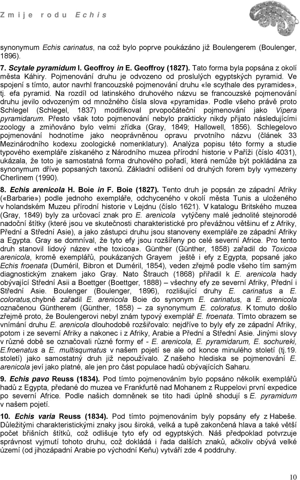 Na rozdíl od latinského druhového názvu se francouzské pojmenování druhu jevilo odvozeným od množného čísla slova «pyramida».