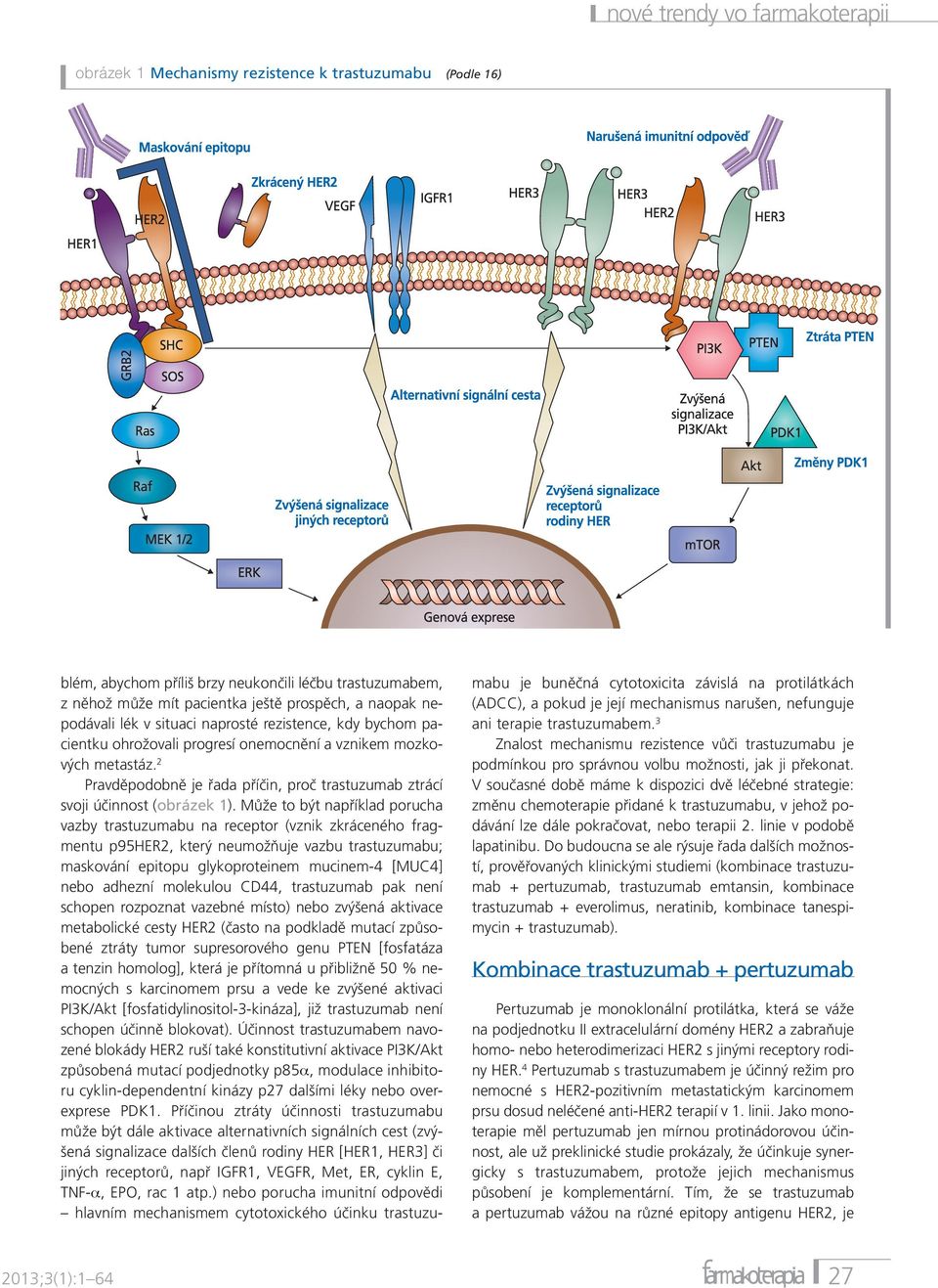 2 Pravděpodobně je řada příčin, proč trastuzumab ztrácí svoji účinnost (obrázek 1).