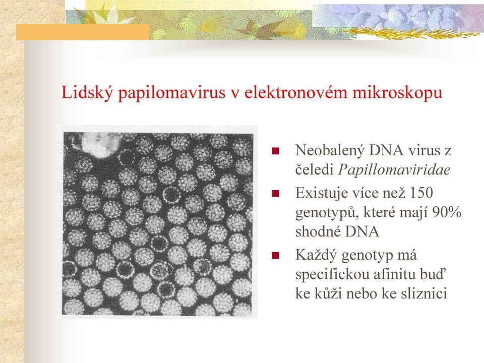 Existuje více než 150 genotypů, které mají 90% shodné