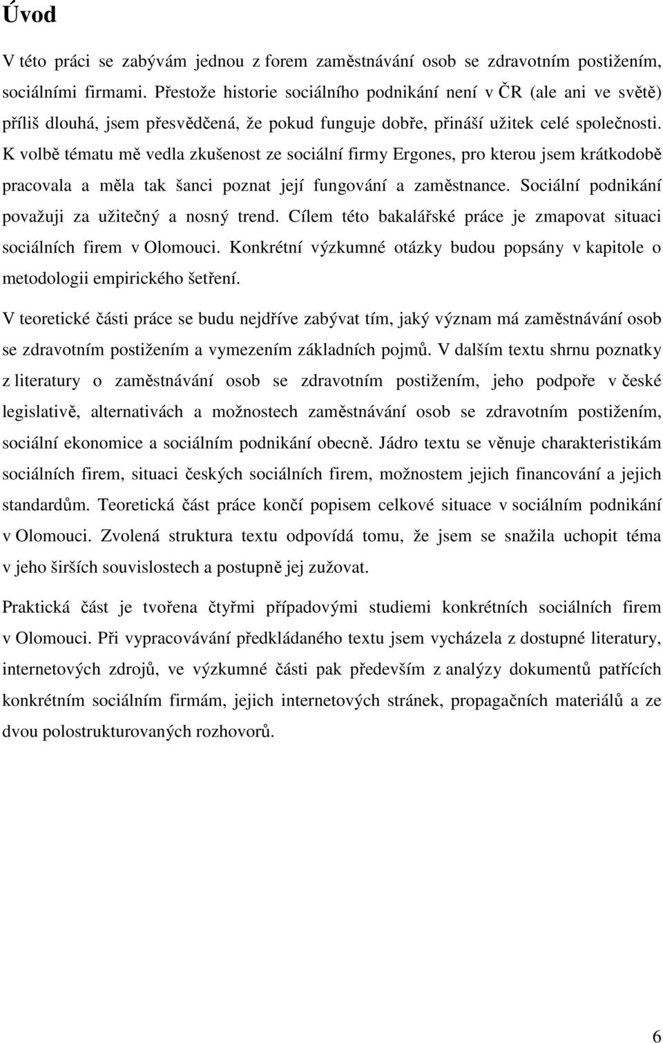 K volbě tématu mě vedla zkušenost ze sociální firmy Ergones, pro kterou jsem krátkodobě pracovala a měla tak šanci poznat její fungování a zaměstnance.