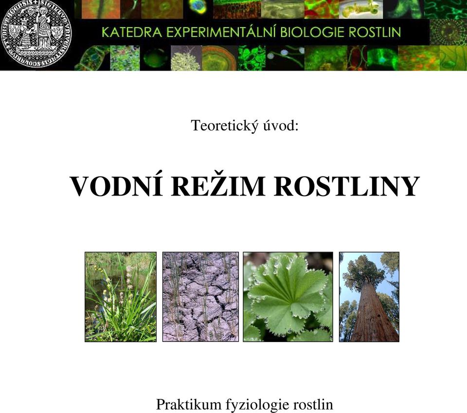 ROSTLINY