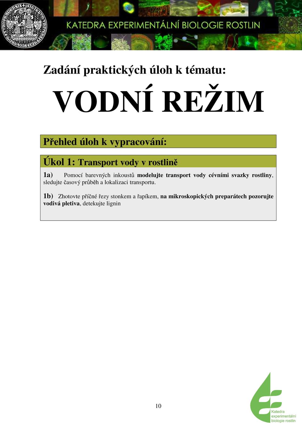 svazky rostliny, sledujte asový prbh a lokalizaci transportu.