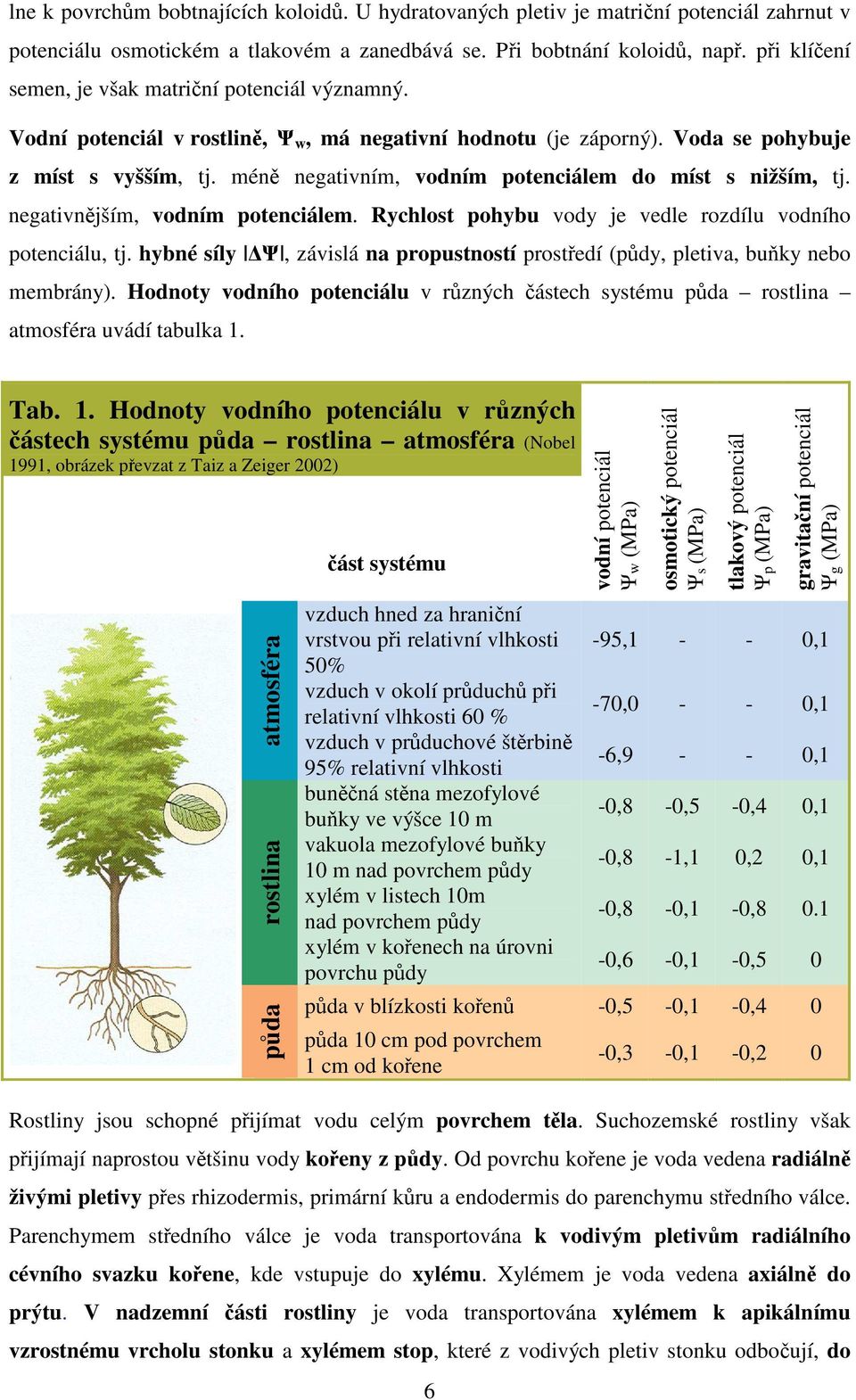 mén negativním, vodním potenciálem do míst s nižším, tj. negativnjším, vodním potenciálem. Rychlost pohybu vody je vedle rozdílu vodního potenciálu, tj.