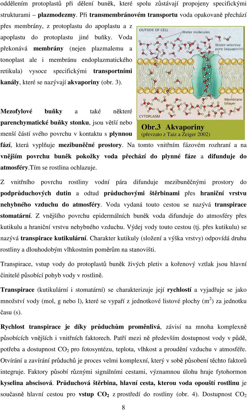 Voda pekonává membrány (nejen plazmalemu a tonoplast ale i membránu endoplazmatického retikula) vysoce specifickými transportními kanály, které se nazývají akvaporiny (obr. 3).