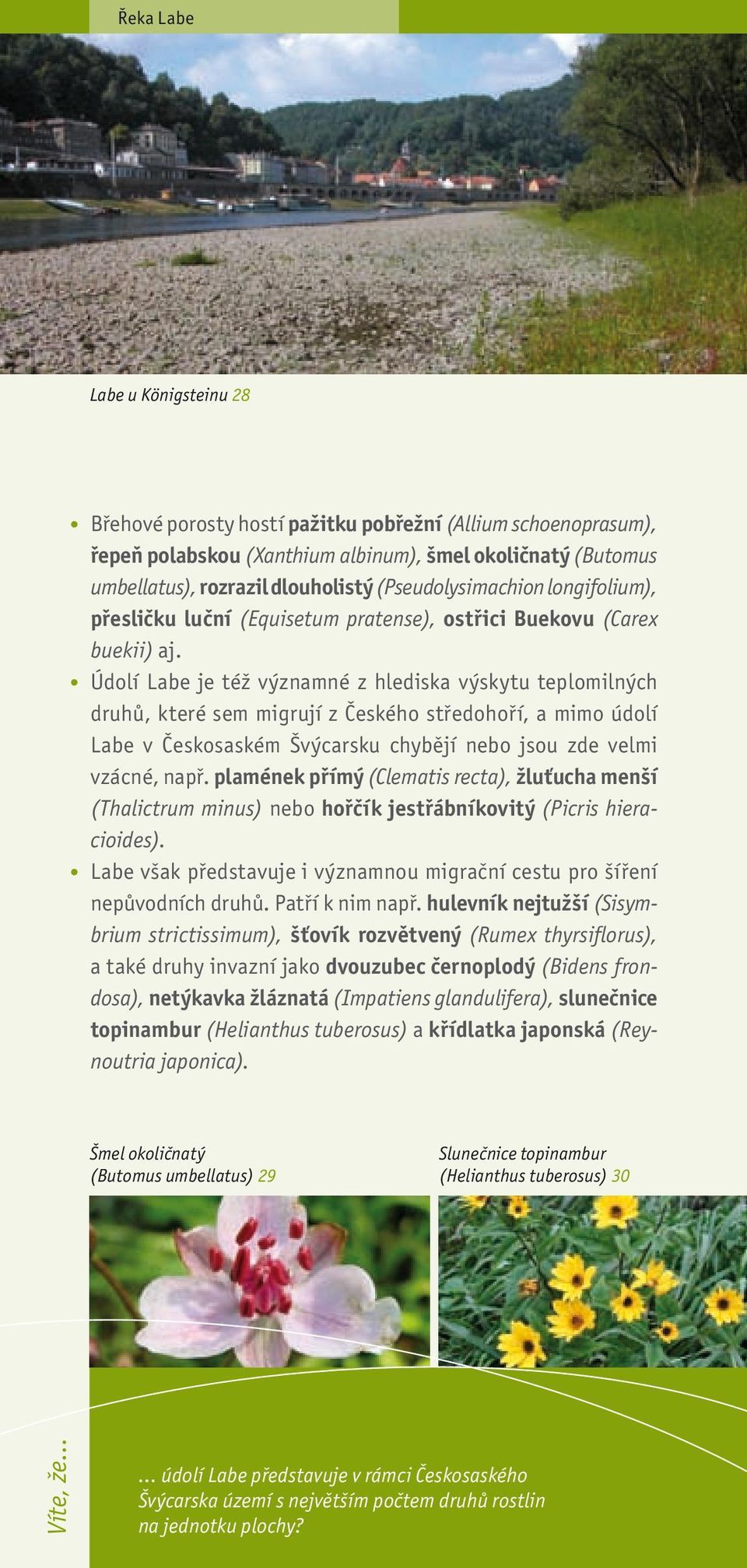 Údolí Labe je též významné z hlediska výskytu teplomilných druhů, které sem migrují z Českého středohoří, a mimo údolí Labe v Českosaském Švýcarsku chybějí nebo jsou zde velmi vzácné, např.