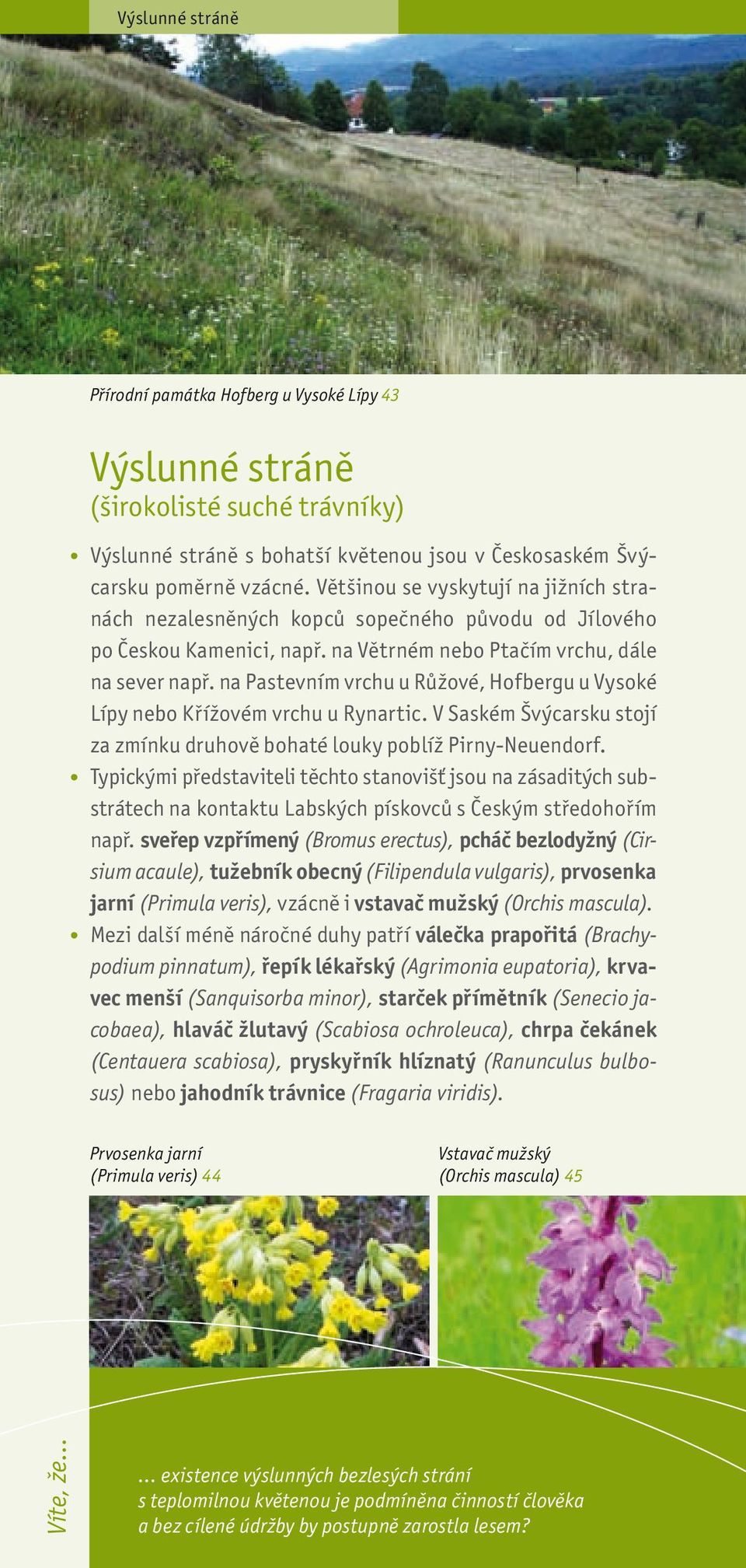 na Pastevním vrchu u Růžové, Hofbergu u Vysoké Lípy nebo Křížovém vrchu u Rynartic. V Saském Švýcarsku stojí za zmínku druhově bohaté louky poblíž Pirny-Neuendorf.