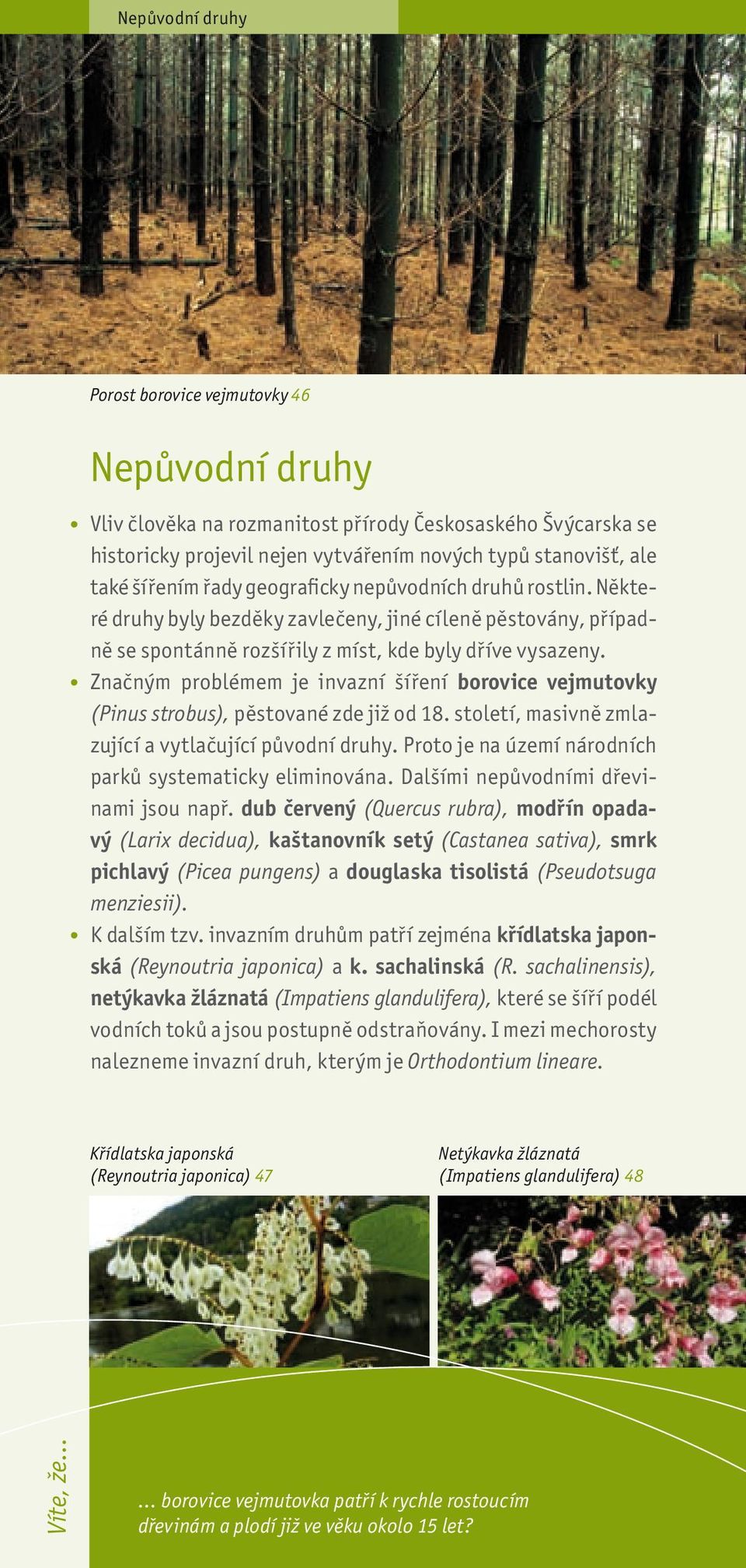 Značným problémem je invazní šíření borovice vejmutovky (Pinus strobus), pěstované zde již od 18. století, masivně zmlazující a vytlačující původní druhy.