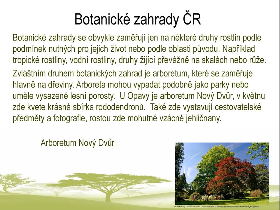 Zvláštním druhem botanických zahrad je arboretum, které se zaměřuje hlavně na dřeviny. Arboreta mohou vypadat podobně jako parky nebo uměle vysazené lesní porosty.