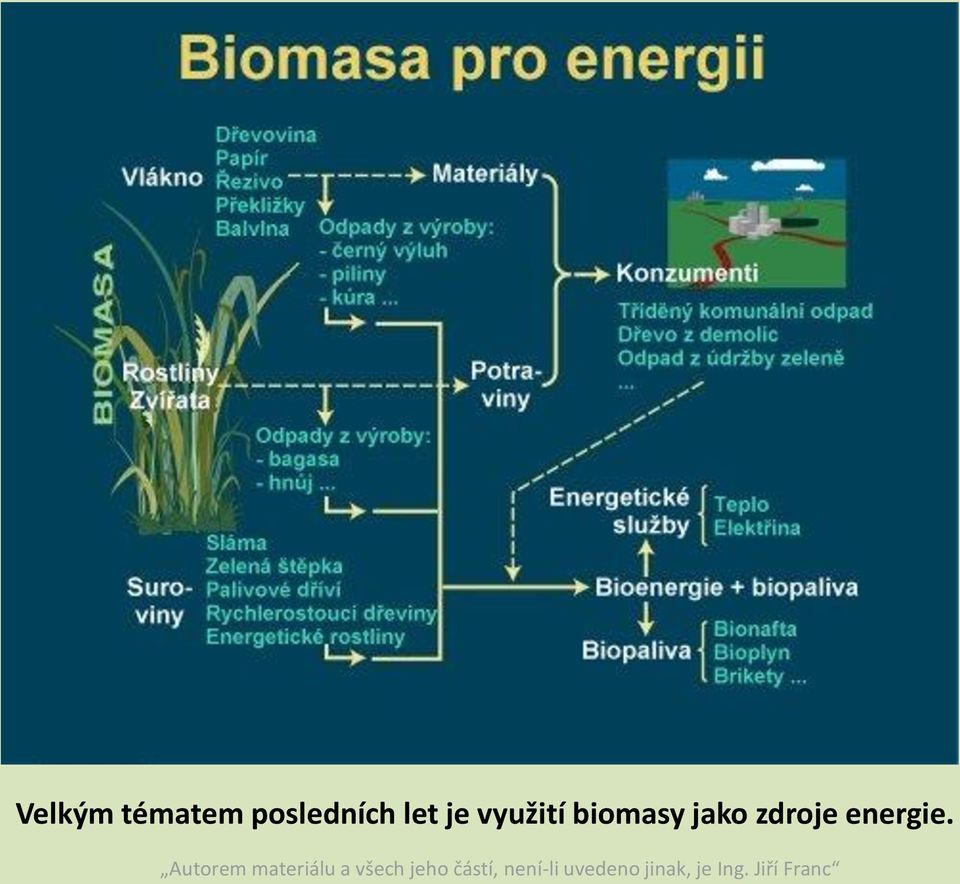 využití biomasy