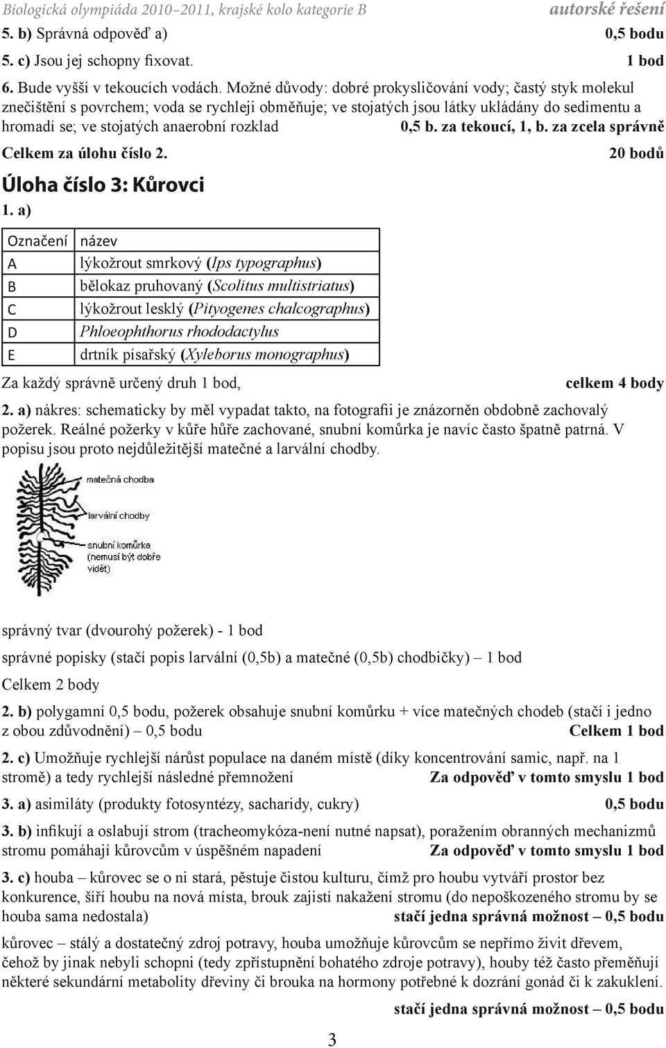 rozklad 0,5 b. za tekoucí, 1, b. za zcela správně Celkem za úlohu číslo 2. Úloha číslo 3: Kůrovci 1.