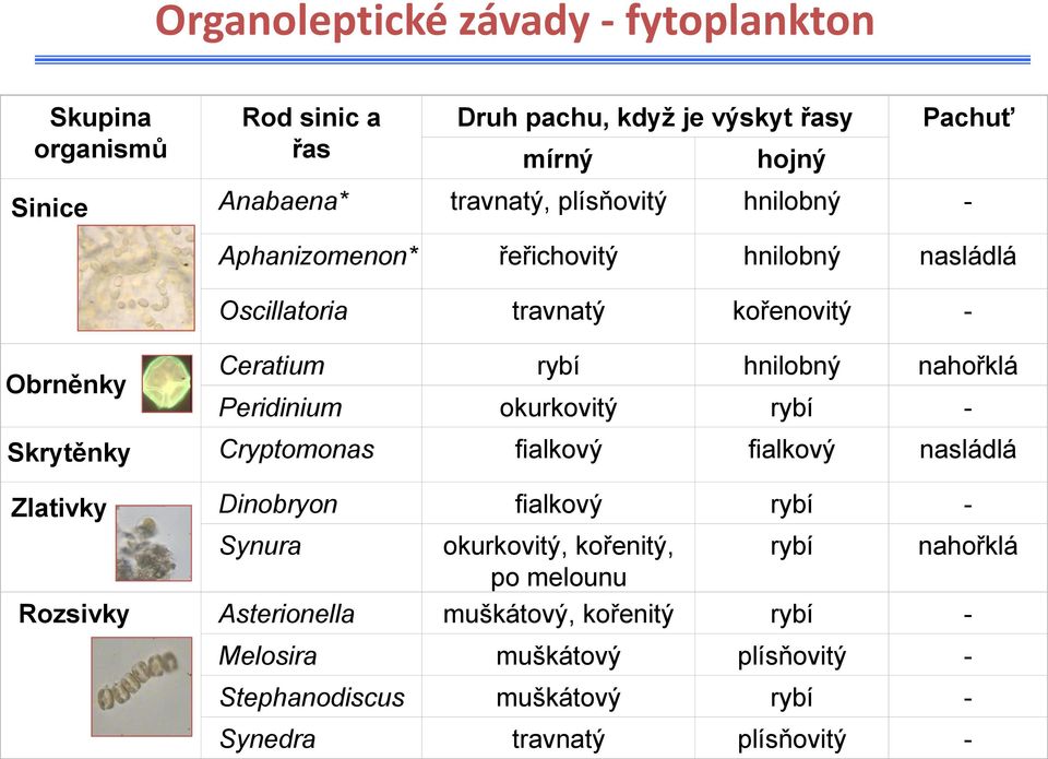 Peridinium okurkovitý rybí - Skrytěnky Cryptomonas fialkový fialkový nasládlá Zlativky Dinobryon fialkový rybí - Synura okurkovitý, kořenitý, rybí