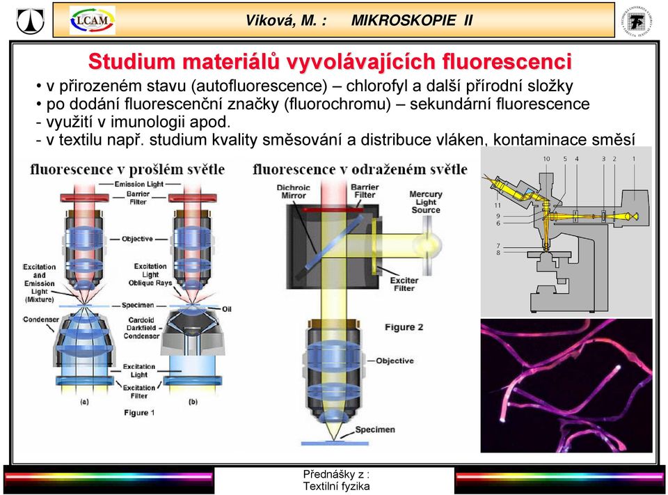 značky (fluorochromu) sekundární fluorescence - využití v imunologii apod.