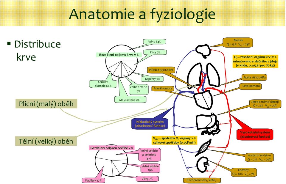 5l pro 70kg) Srdce v diastole 64% Velkéartérie 7% Kapiláry 5% Pravá komora Aorta 16/10.