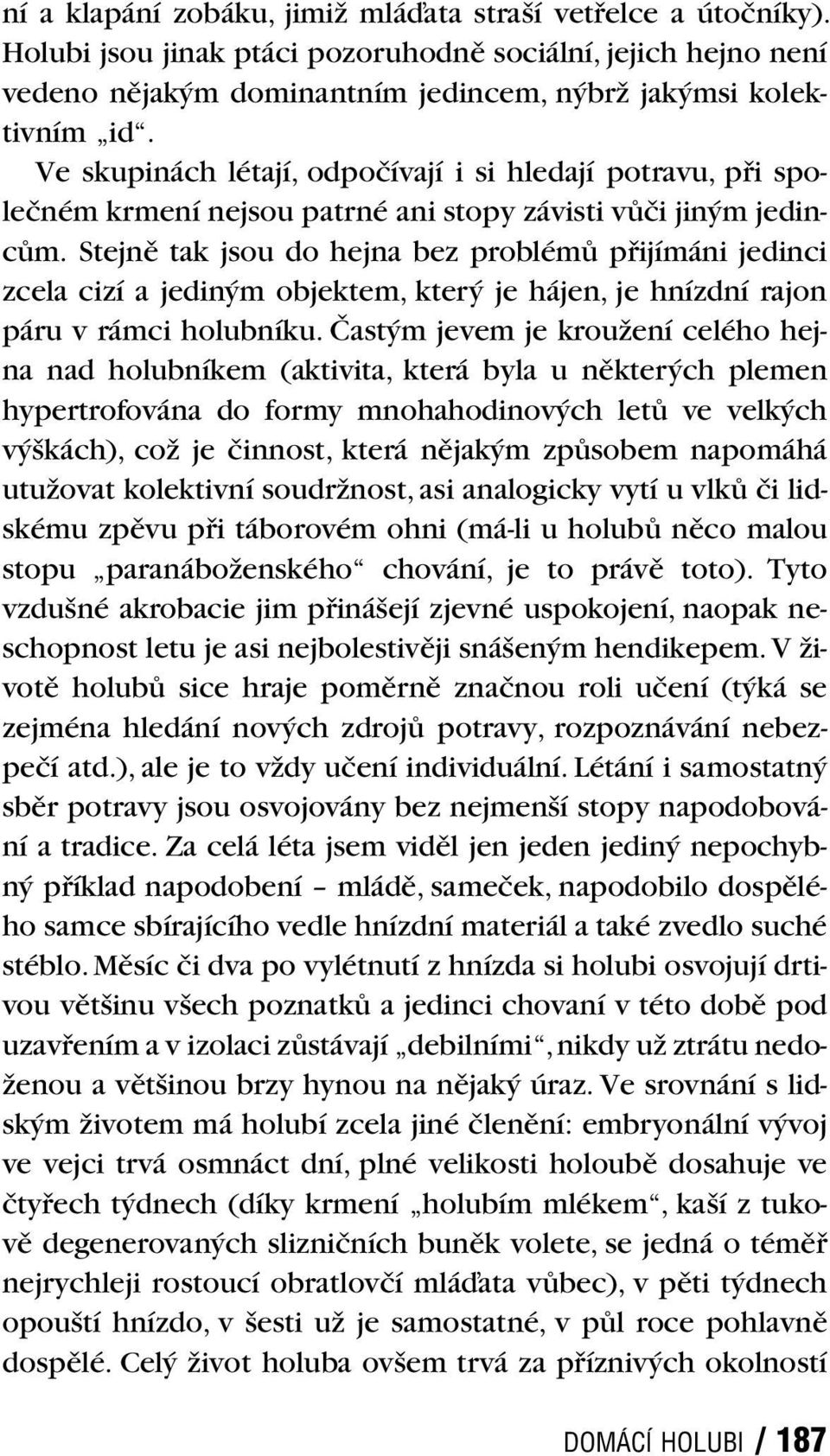 Stejně tak jsou do hejna bez problémů přijímáni jedinci zcela cizí a jediným objektem, který je hájen, je hnízdní rajon páru v rámci holubníku.