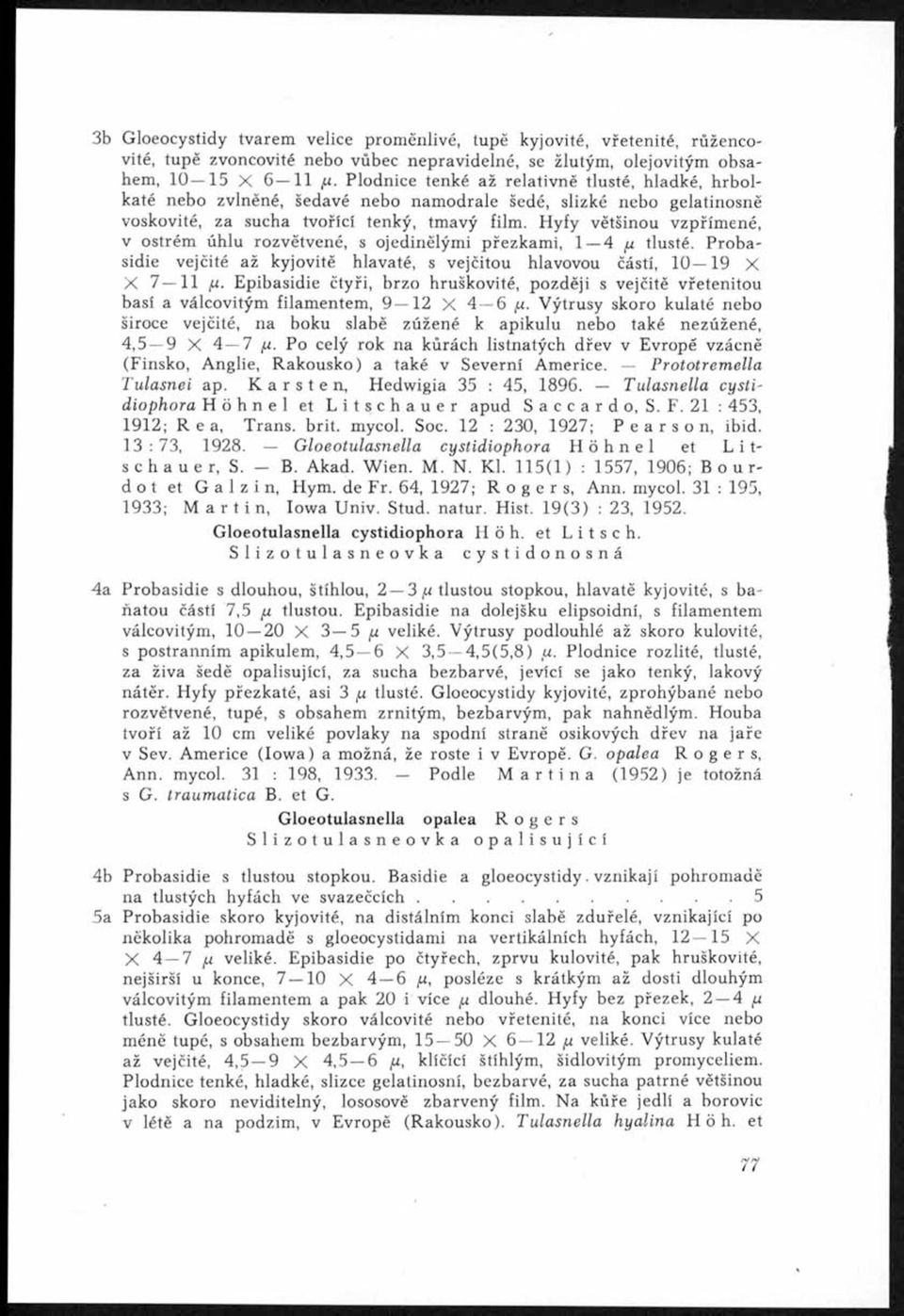 Hyfy většinou vzpřímené, v ostrém úhlu rozvětvené, s ojedinělým i přezkam i, 1 4 p tlusté. P robasidie vejčité až kyjovitě hlavaté, s vejčitou hlavovou částí, 1 0 19 X X 7 11 x.