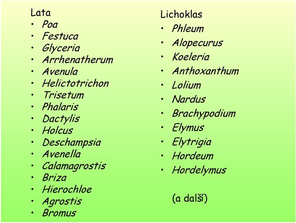 Hierochloe Agrostis Bromus Lichoklas Phleum Alopecurus Koeleria