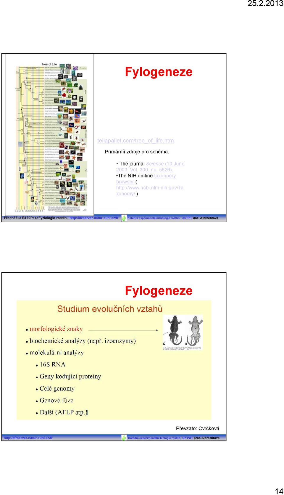 The NIH on-line taxonomy browser ( http://www.ncbi.nlm.nih.