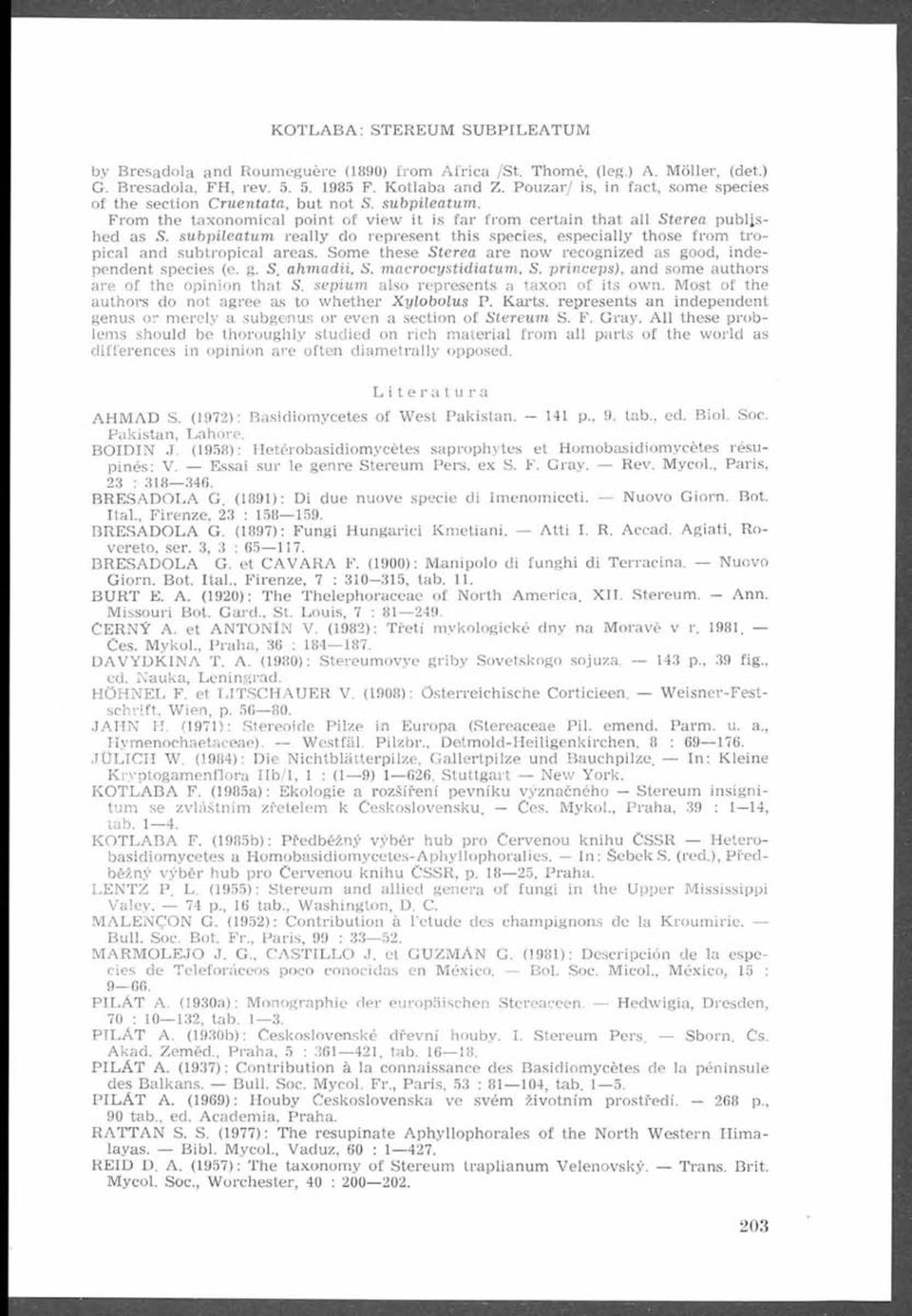 subpilea tu m really do represent this species, especially those from tropical and subtropical areas. Some these Sterea are now recognized as good, independent species (e. g. S. ahm adii, S.