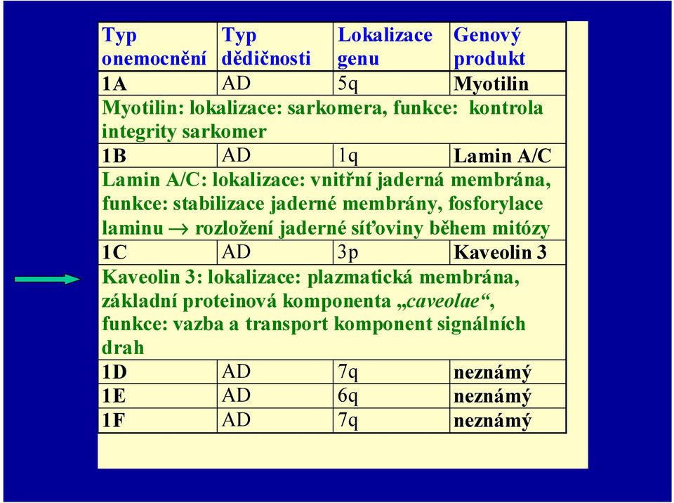 fosforylace laminu rozložení jaderné síťoviny během mitózy 1C AD 3p Kaveolin 3 Kaveolin 3: lokalizace: plazmatická membrána,