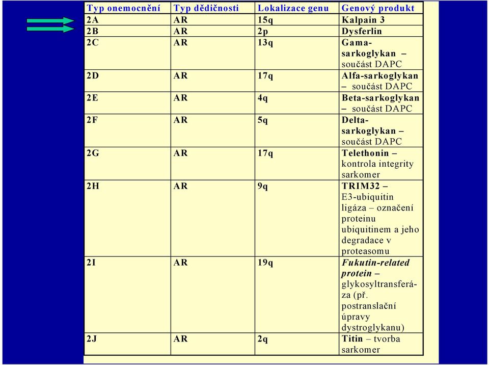 2G AR 17q Telethonin kontrola integrity sarkomer 2H AR 9q TRIM32 E3-ubiquitin ligáza označení proteinu ubiquitinem a jeho degradace