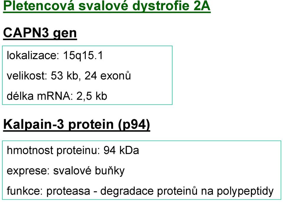 1 velikost: 53 kb, 24 exonů délka mrna: 2,5 kb Kalpain-3