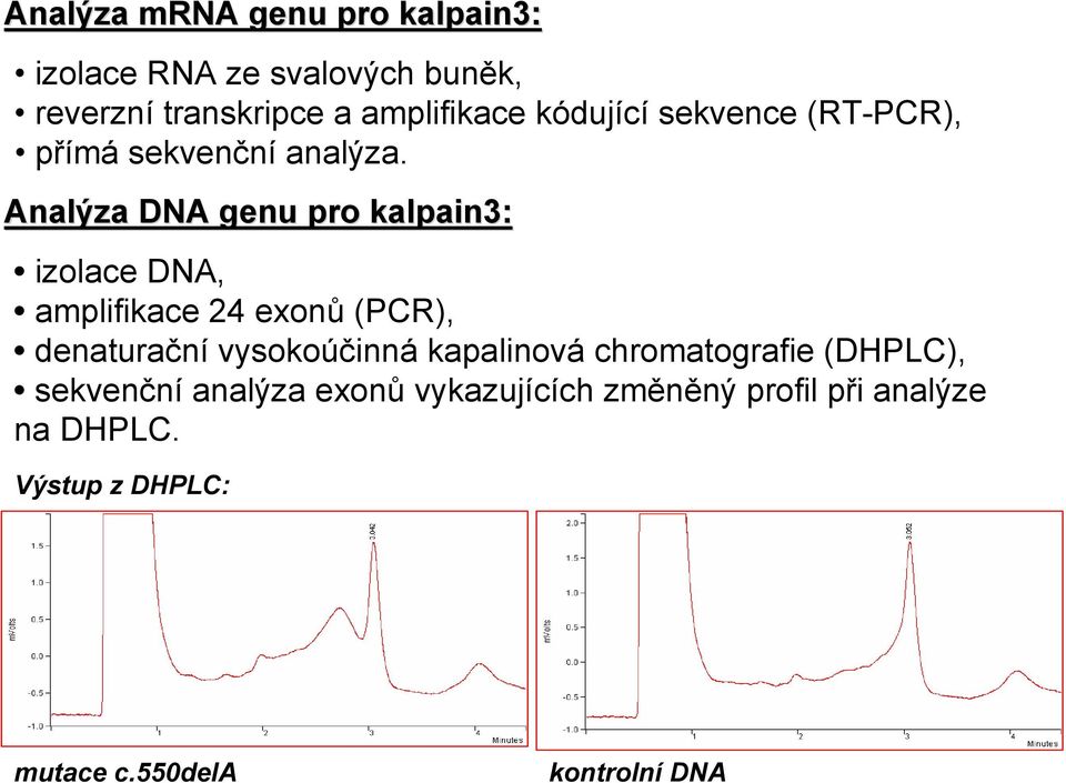 Analýza DNA genu pro kalpain3: izolace DNA, amplifikace 24 exonů (PCR), denaturační vysokoúčinná