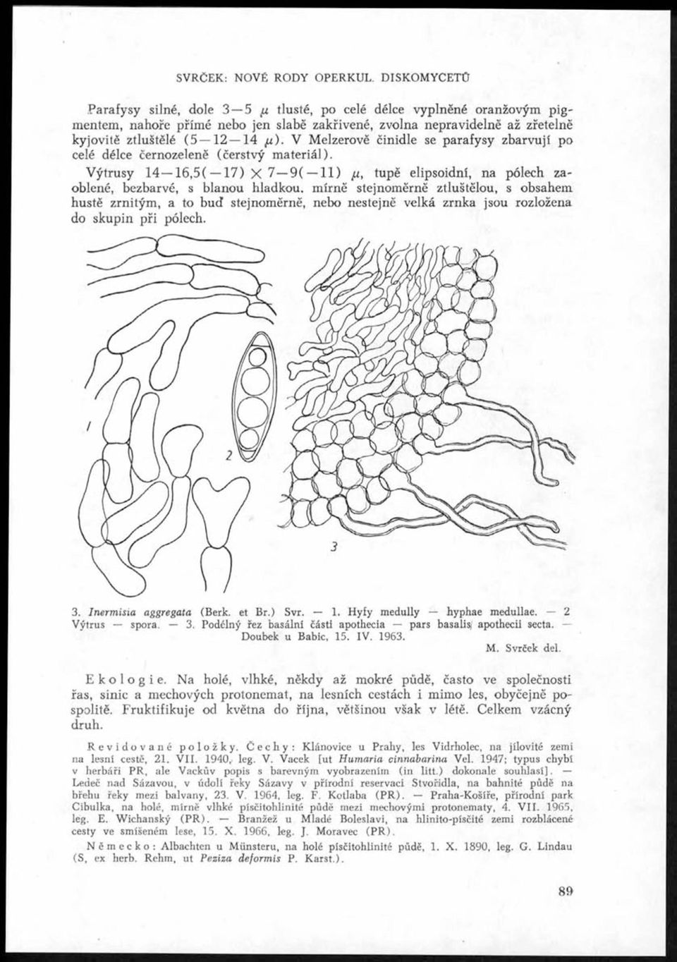 V Melzerově činidle se parafysy zbarvují po celé délce černozeleně (čerstvý materiál).