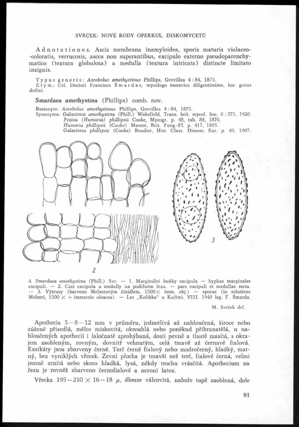 limita to insignis. Typus generis: A scobolus am ethystinus Phillips, Grevillea 4 : 84, 1875. Etym.: Cel. Doctori Francisco Šmardae, mycologo moravico diligentissimo, hoc genus dedixi.