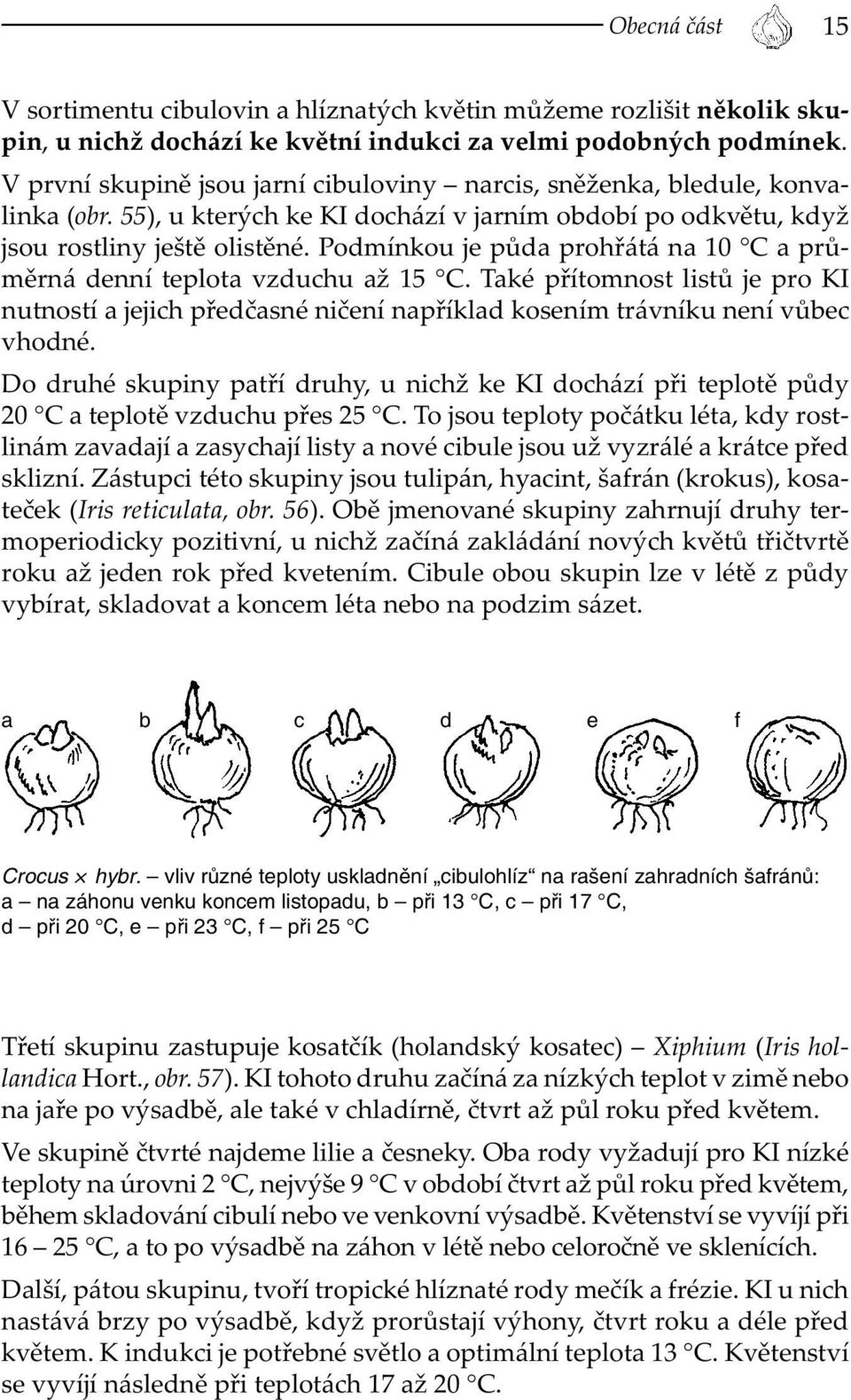 Podmínkou je půda prohřátá na 10 C a průměrná denní teplota vzduchu až 15 C. Také přítomnost listů je pro KI nutností a jejich předčasné ničení například kosením trávníku není vůbec vhodné.