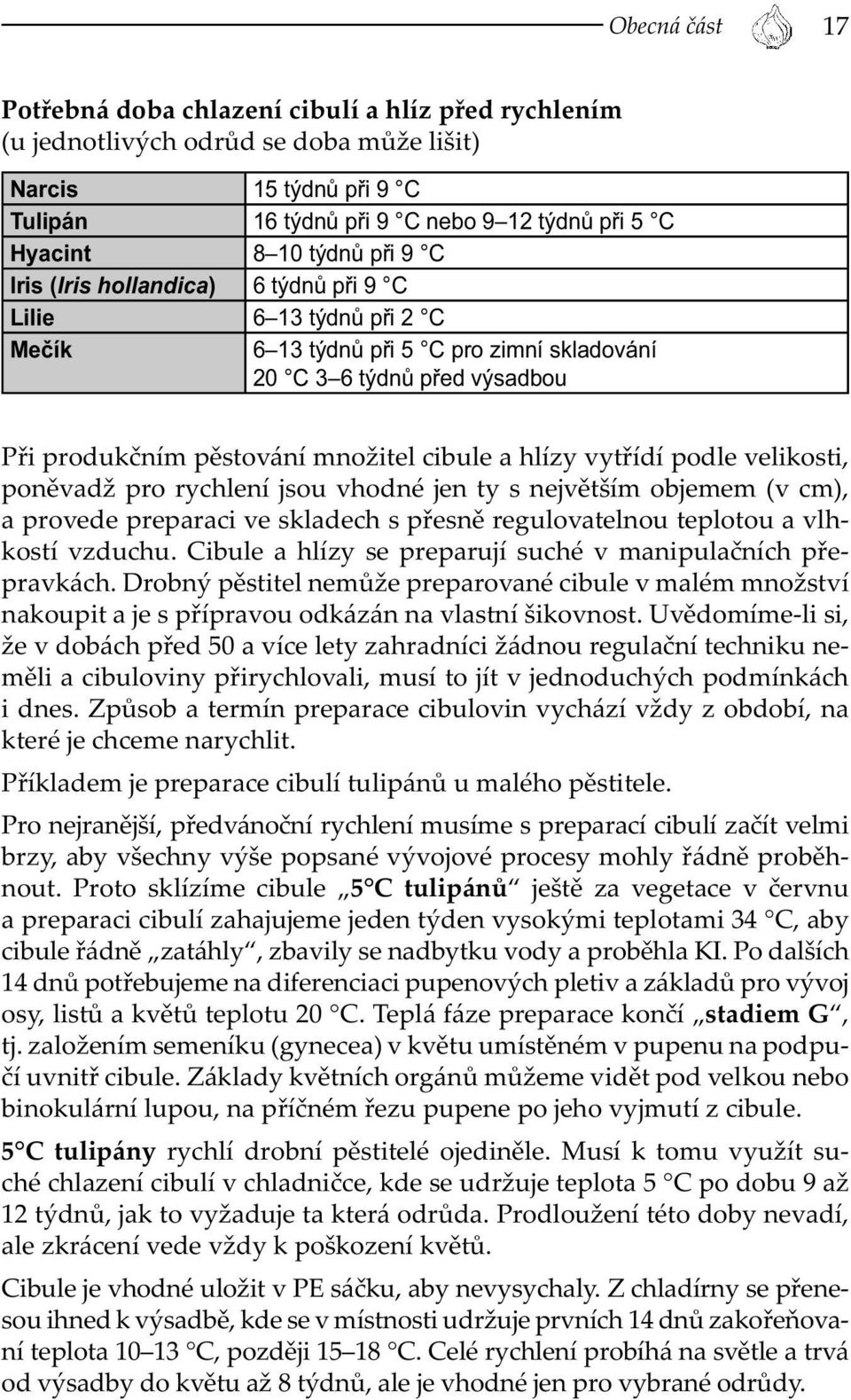 hlízy vytřídí podle velikosti, poněvadž pro rychlení jsou vhodné jen ty s největším objemem (v cm), a provede preparaci ve skladech s přesně regulovatelnou teplotou a vlhkostí vzduchu.