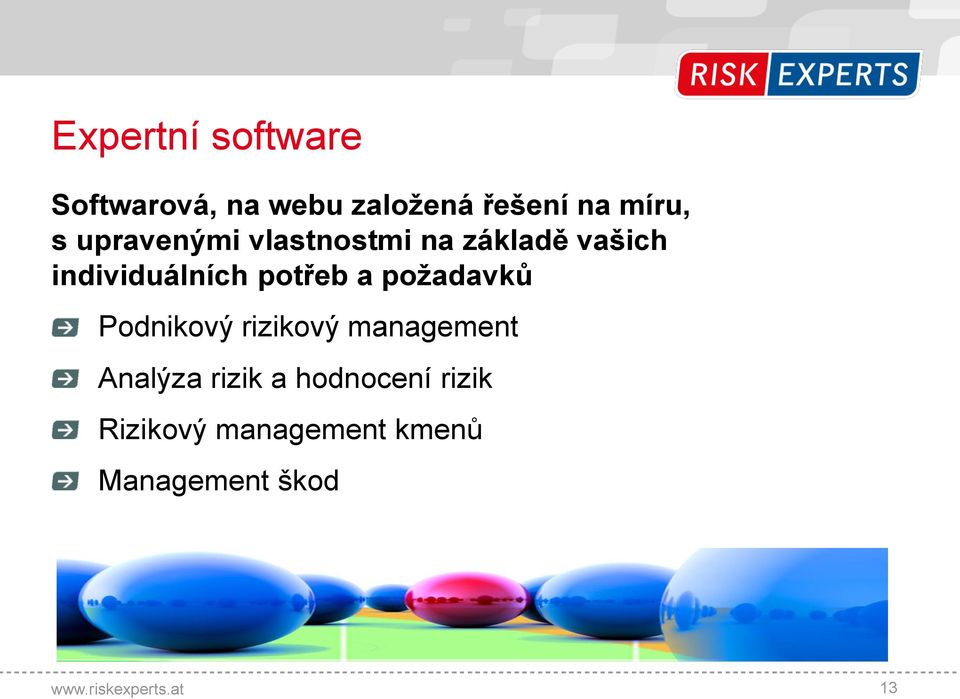 individuálních potřeb a požadavků Podnikový rizikový