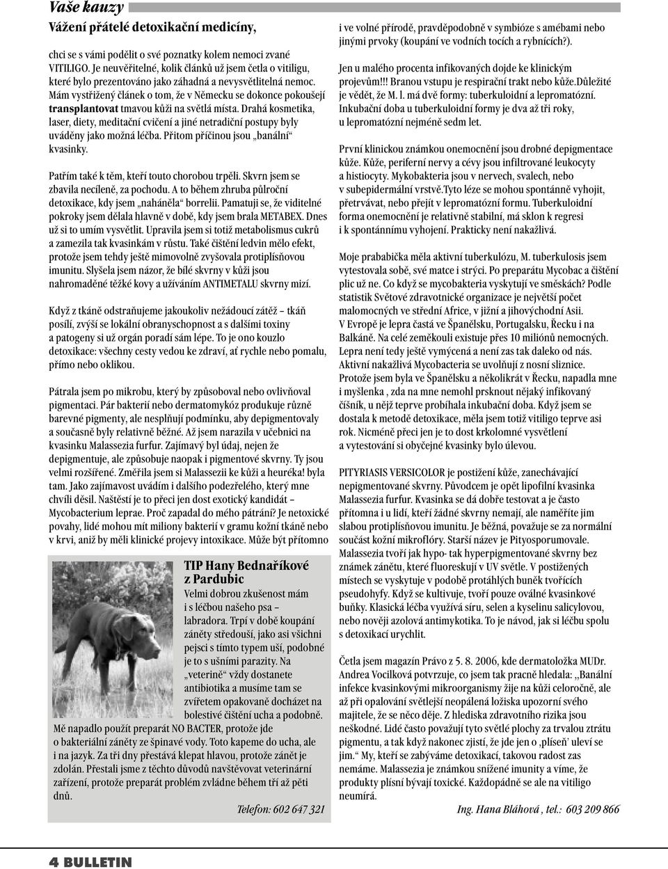 Mám vystřižený článek o tom, že v Německu se dokonce pokoušejí transplantovat tmavou kůži na světlá místa.