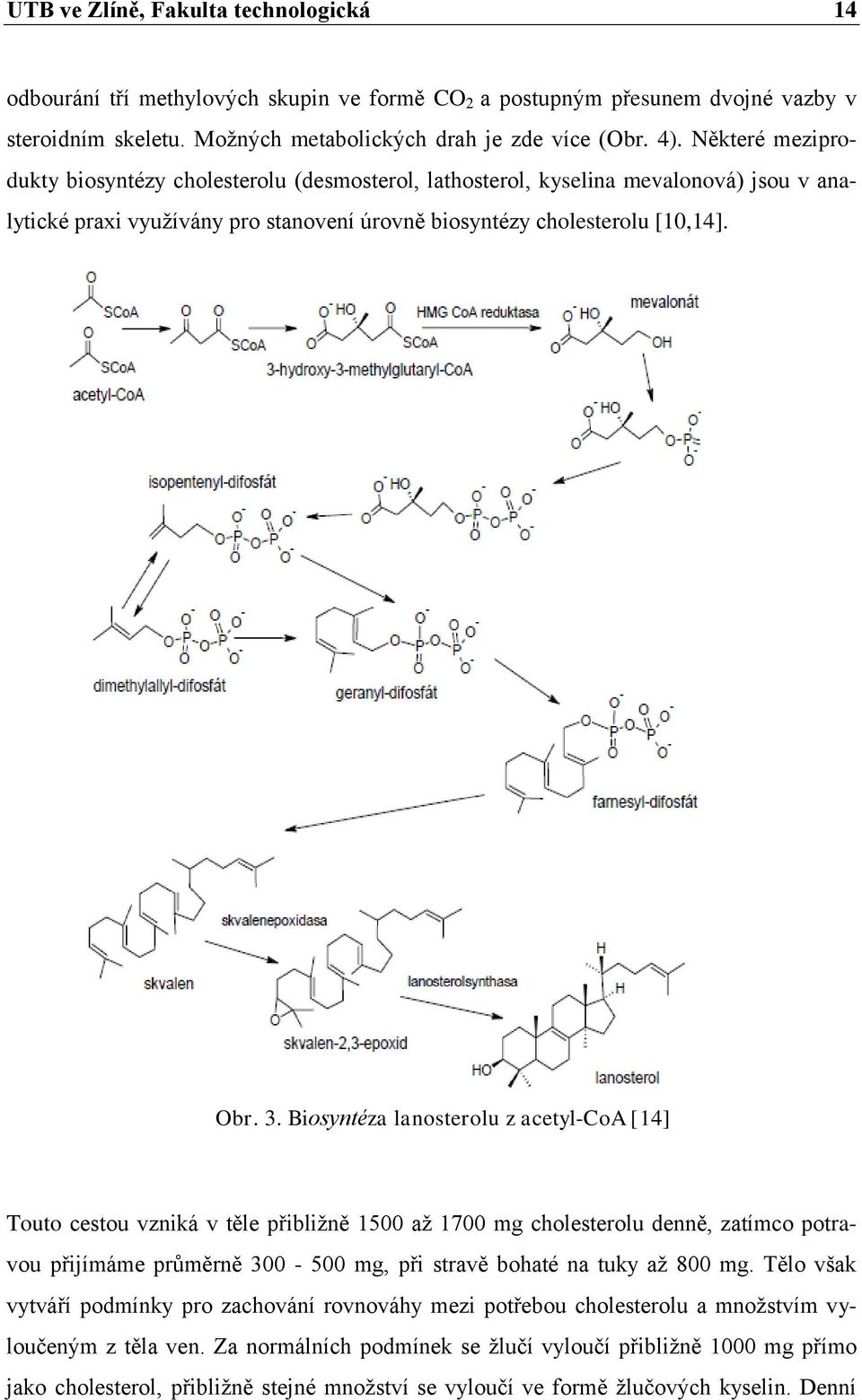 Biosyntéza lanosterolu z acetyl-coa [14] Touto cestou vzniká v těle přibližně 1500 až 1700 mg cholesterolu denně, zatímco potravou přijímáme průměrně 300-500 mg, při stravě bohaté na tuky až 800 mg.