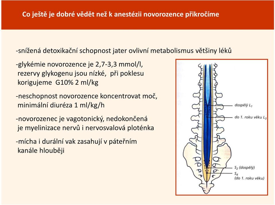 korigujeme G10% 2 ml/kg -neschopnost novorozence koncentrovat moč, minimální diuréza 1 ml/kg/h -novorozenec je