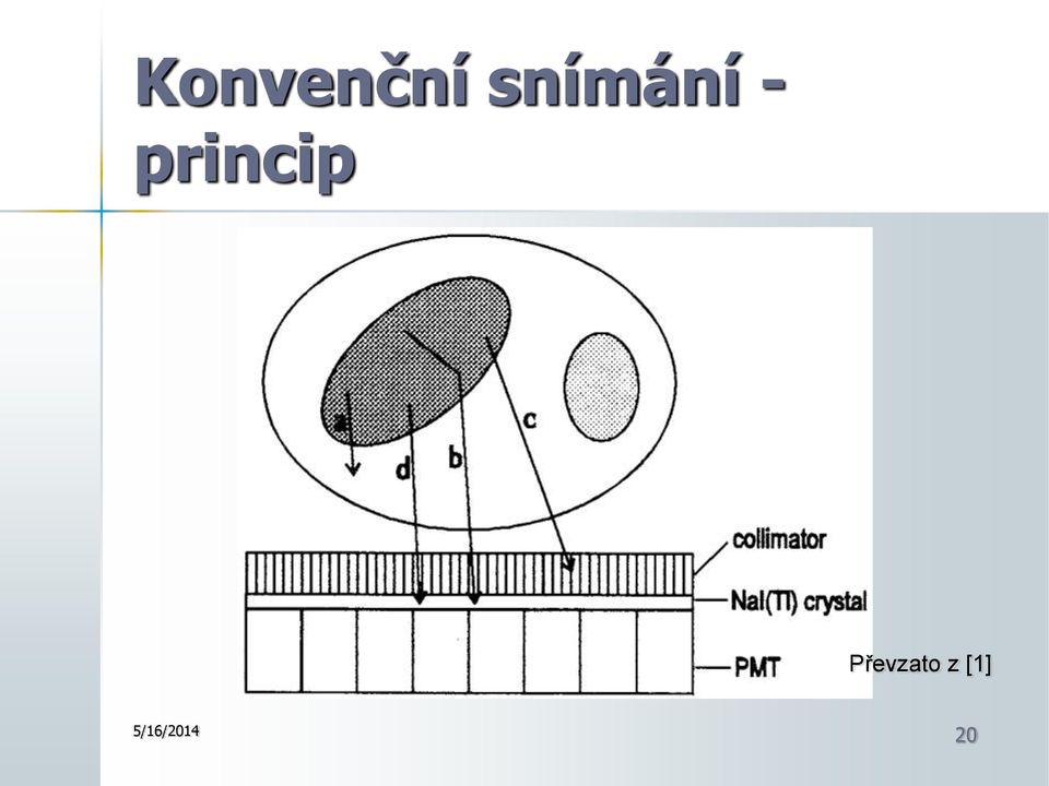 princip