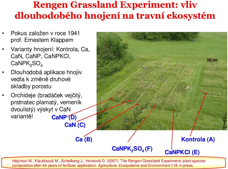 (bradáček vejčitý, prstnatec plamatý, vemeník dvoulistý) výskyt v CaN variantě! CaNP (D) CaN (C) Ca (B) CaNPK SO 2 4 (F) Kontrola (A) CaNPKCl (E) Hejcman M.
