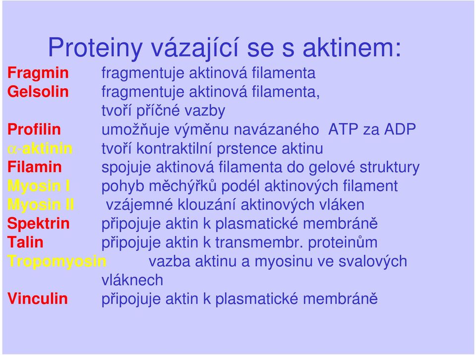 Myosin I pohyb měchýřků podél aktinových filament Myosin II vzájemné klouzání aktinových vláken Spektrin připojuje aktin k plasmatické