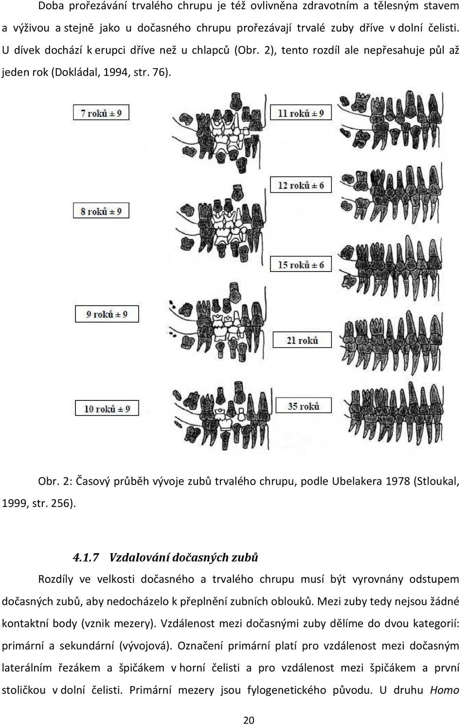 2: Časový průběh vývoje zubů trvalého chrupu, podle Ubelakera 19